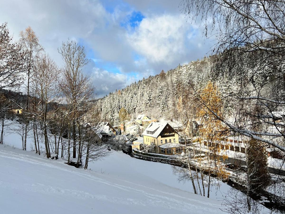 Urige Berghuette Mit Kamin Und Sauna Im Erzgebirge Nahe Schwarzwassertal Pobershau Eksteriør bilde